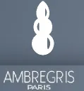 Logo de Ambregris