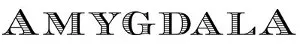 Logo de Amygdala
