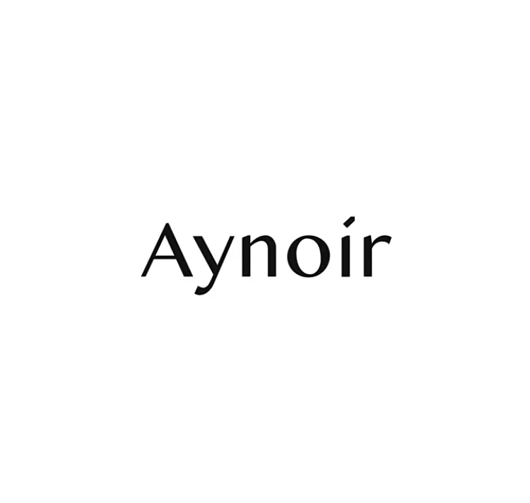 Logo de Aynoir 安喏