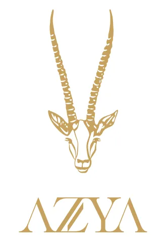 Logo de AZYA