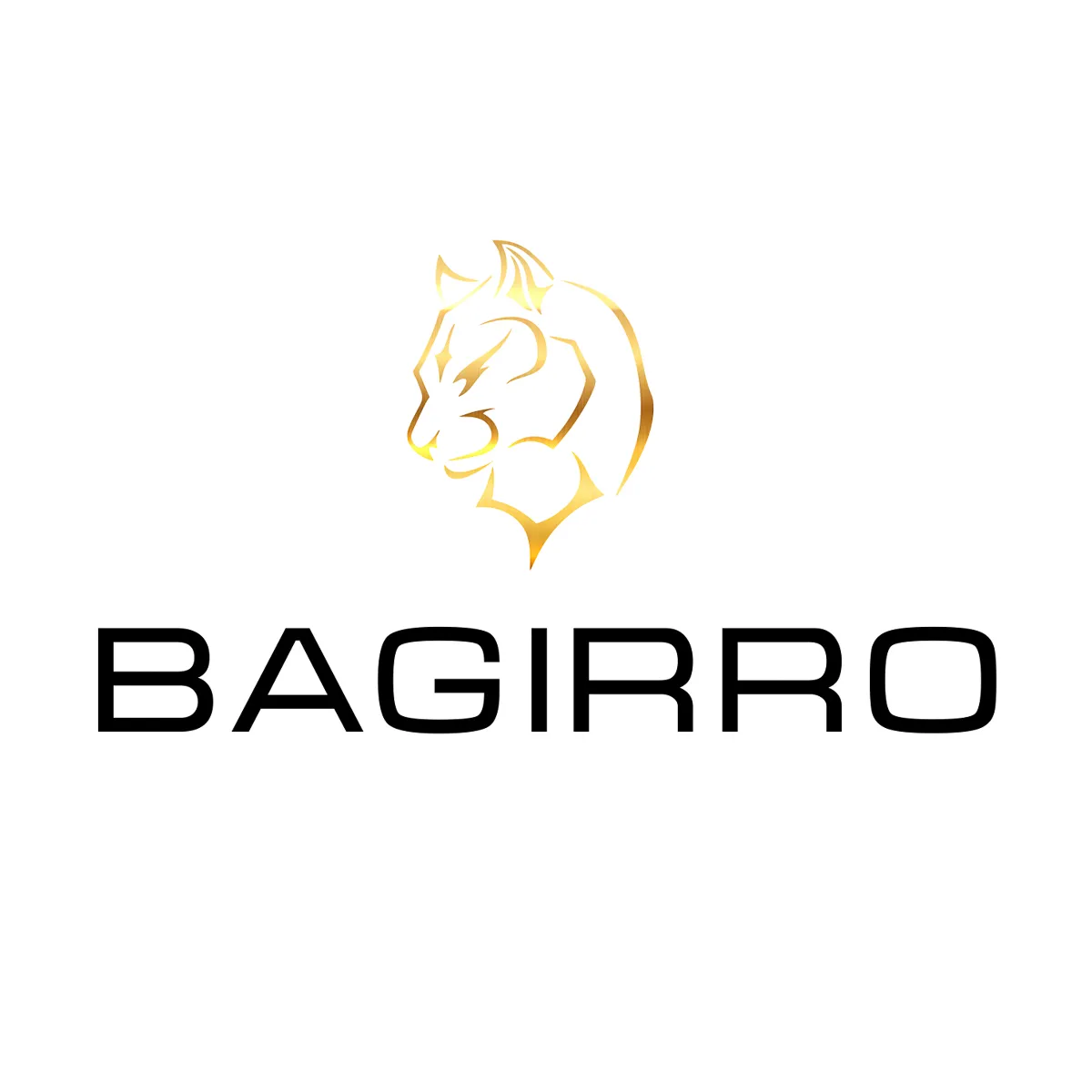 Logo de Bagirro