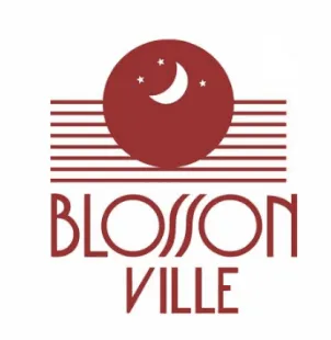 Logo de Blosson Ville