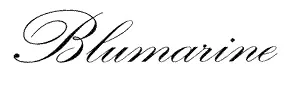 Imagen de Blumarine