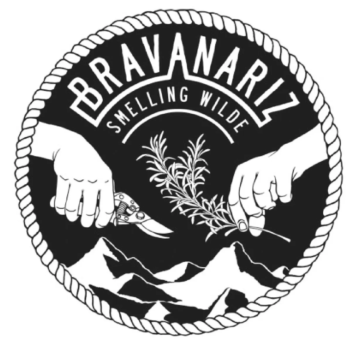 Logo de Bravanariz