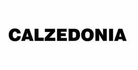 Logo de Calzedonia