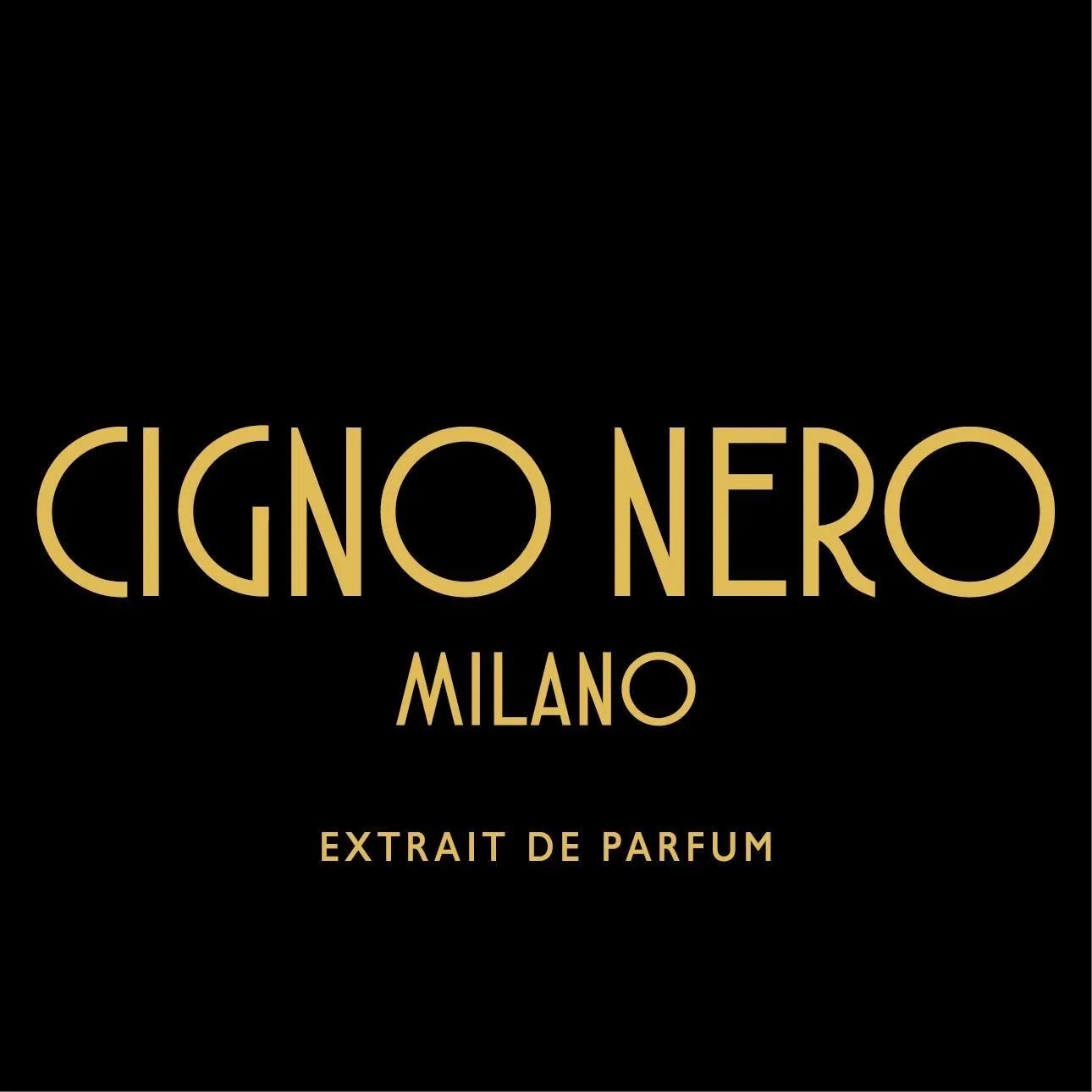 Logo de Cigno Nero