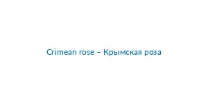 Imagen de Crimean rose – Крымская роза