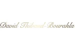 Logo de David Thibaud-Bourahla