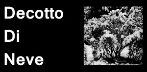 Logo de Decotto Di Neve