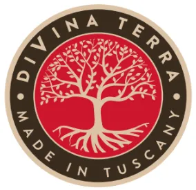 Logo de DiVina Terra