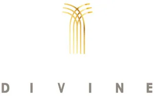 Imagen de Divine