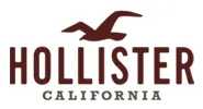 Logo de Hollister