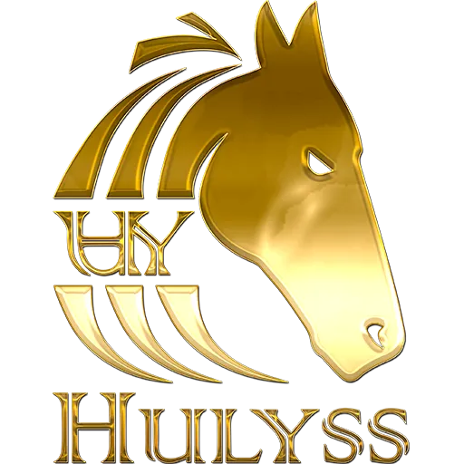 Logo de Hulyss