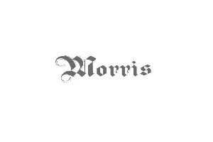 Logo de Morris