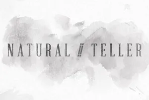 Logo de Natural Teller