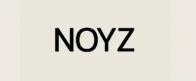 Logo de Noyz
