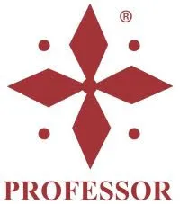 Imagen de Professor