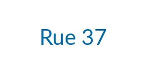 Logo de Rue 37
