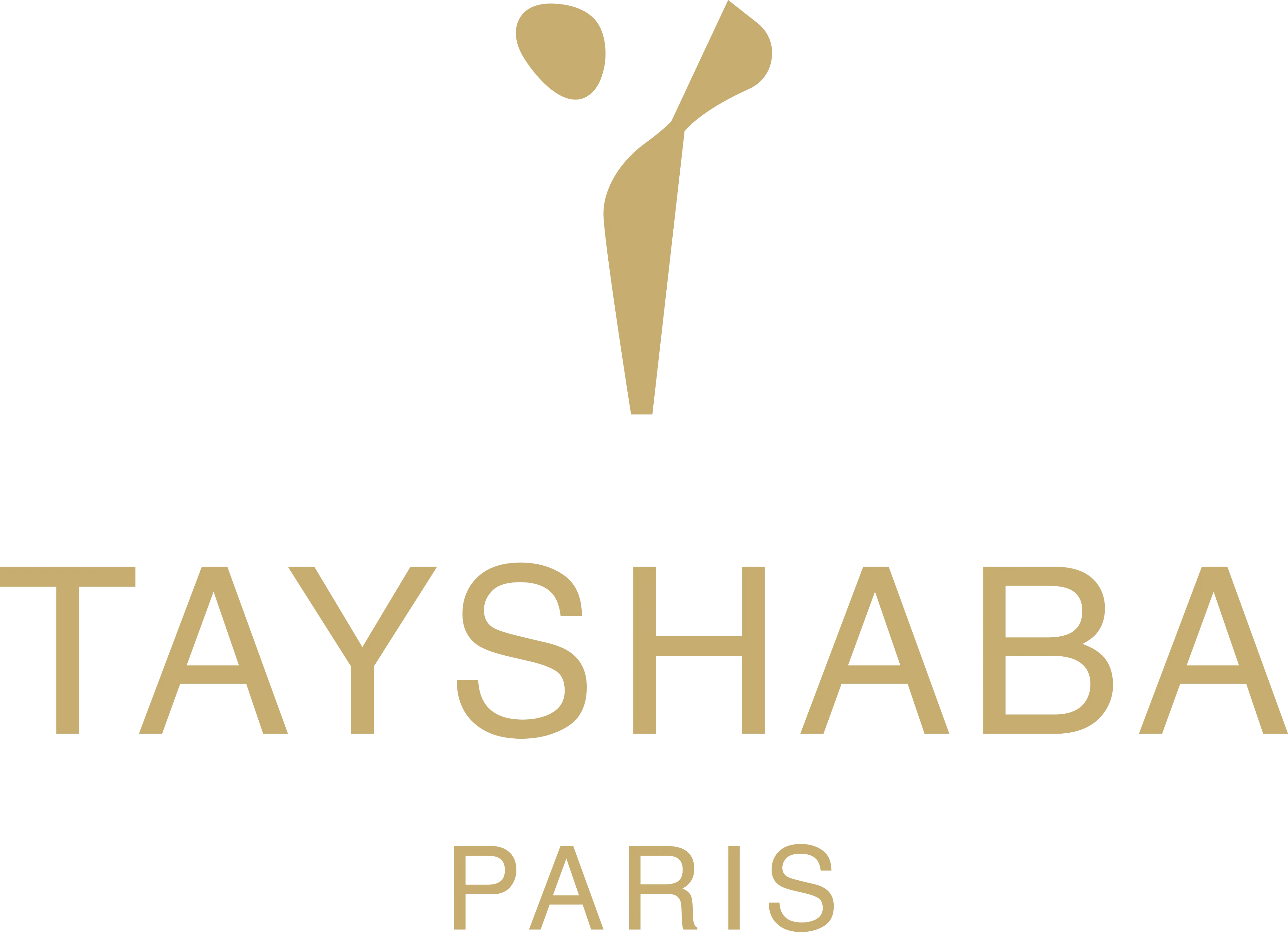 Logo de Tayshaba