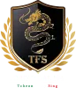 Logo de TFS