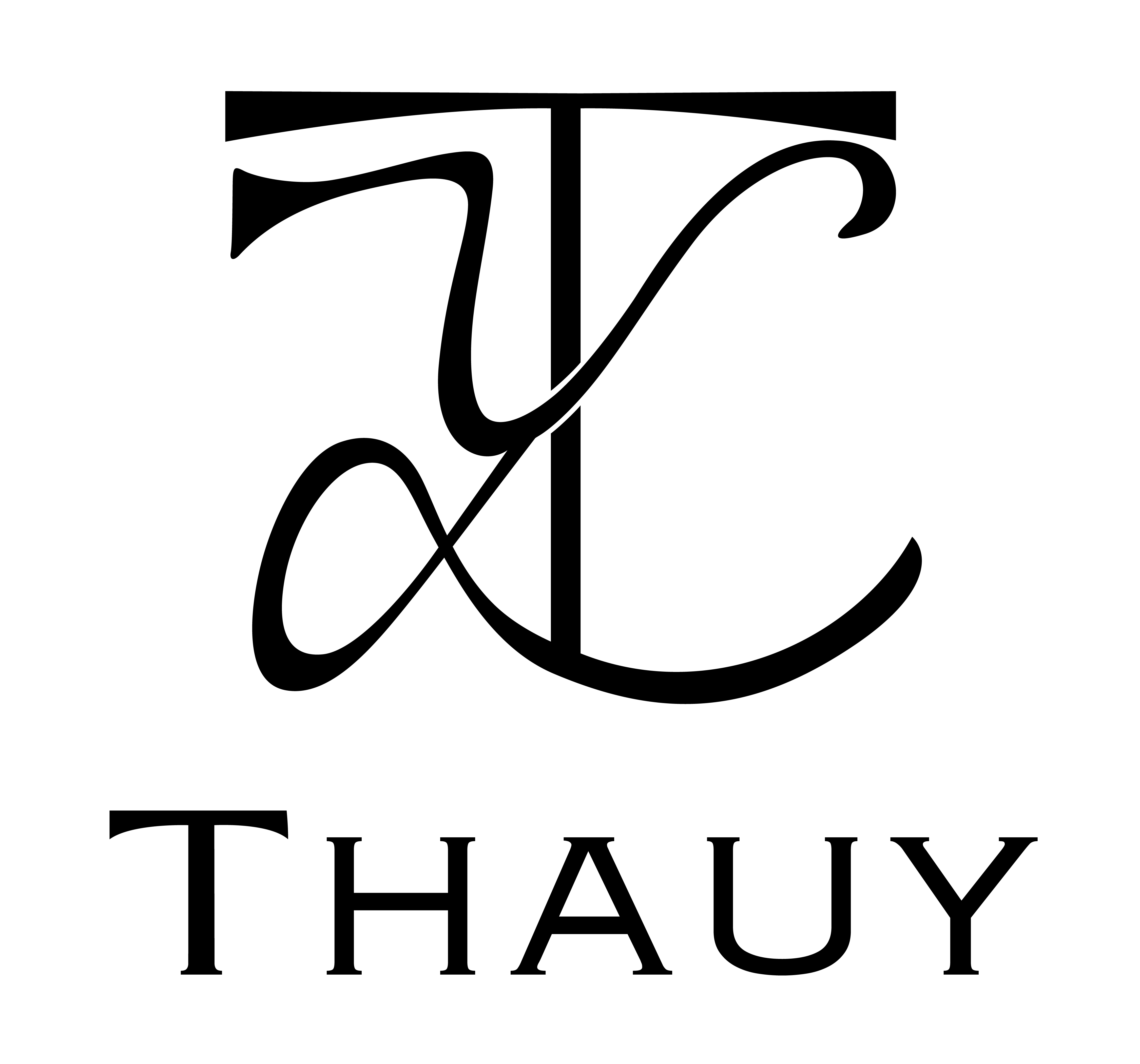 Logo de Thauy