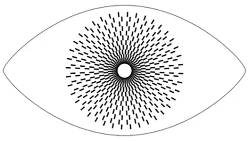 Logo de The Eyes Are Always There