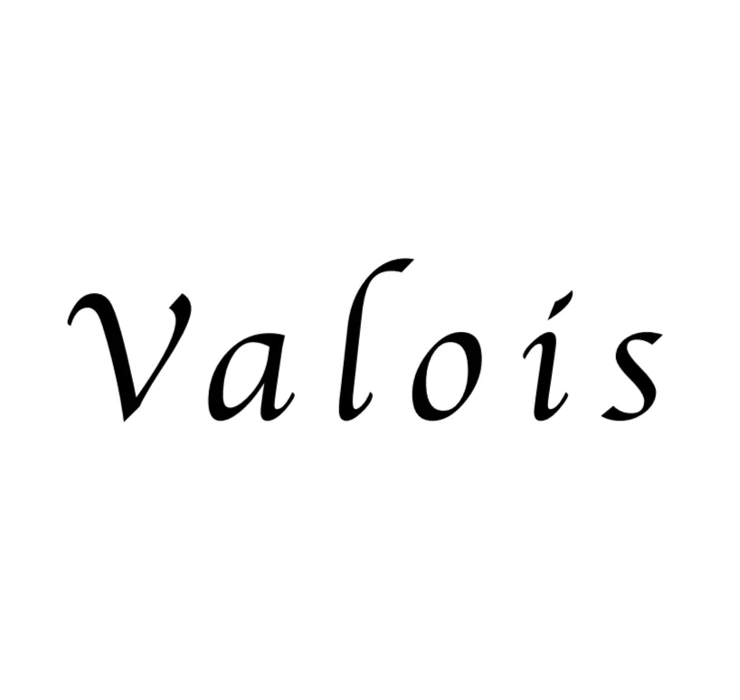 Logo de Valois