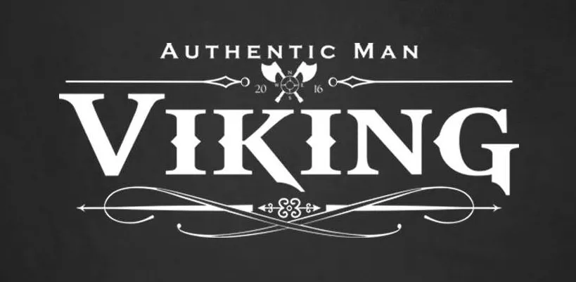 Imagen de Viking