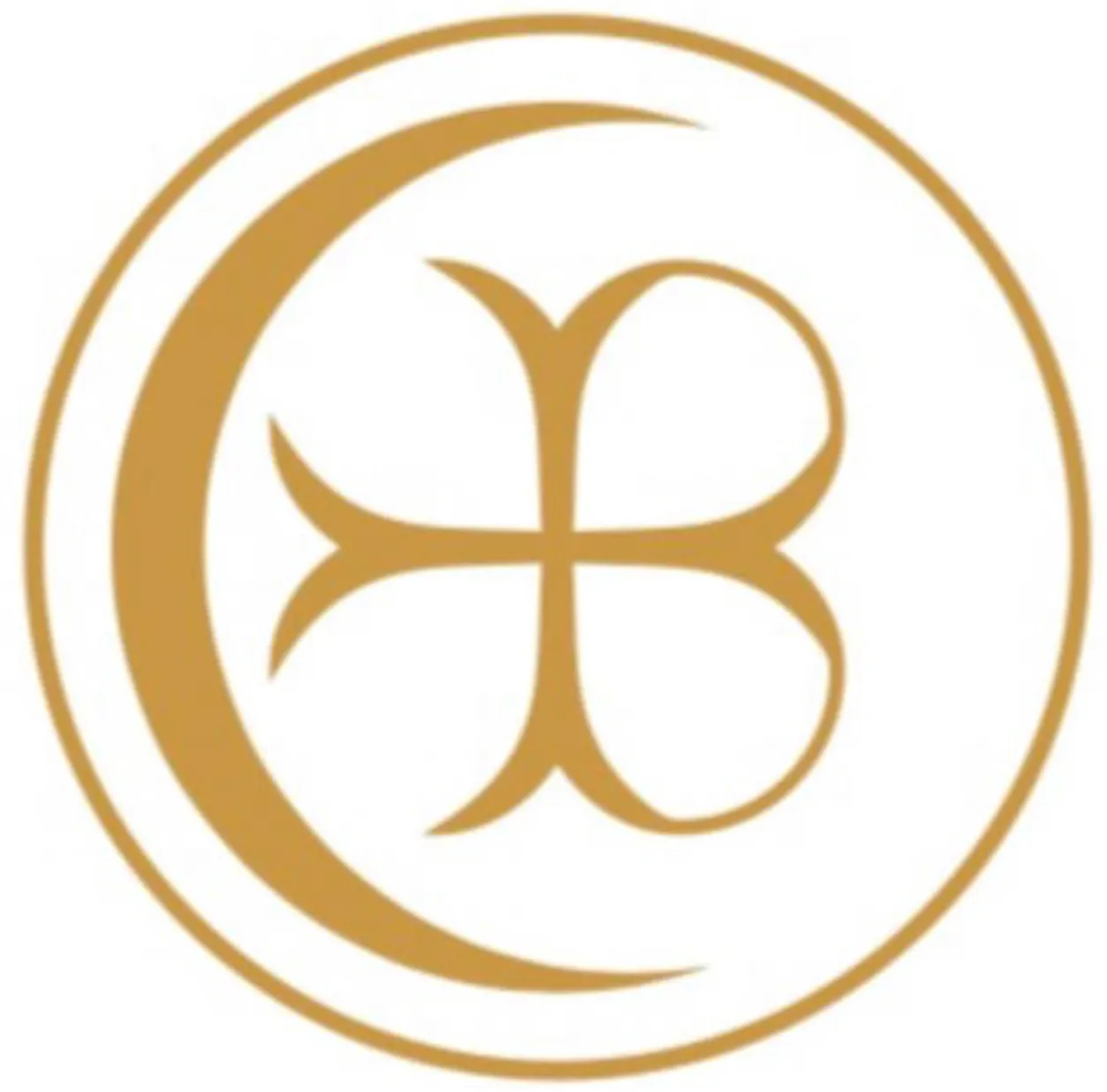 Logo de Blu Costiera