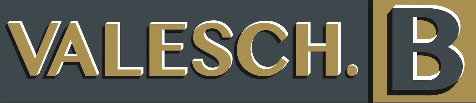 Logo de Valesch B.