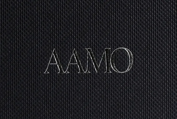 Logo de AAMO