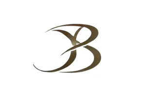 Logo de Brigion