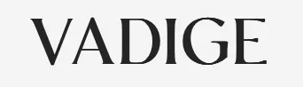 Logo de Vadige
