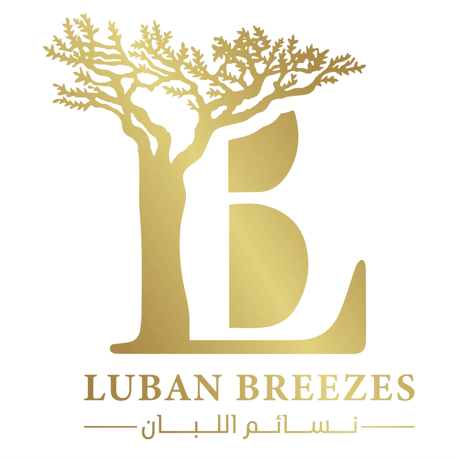 Logo de Luban Breezes