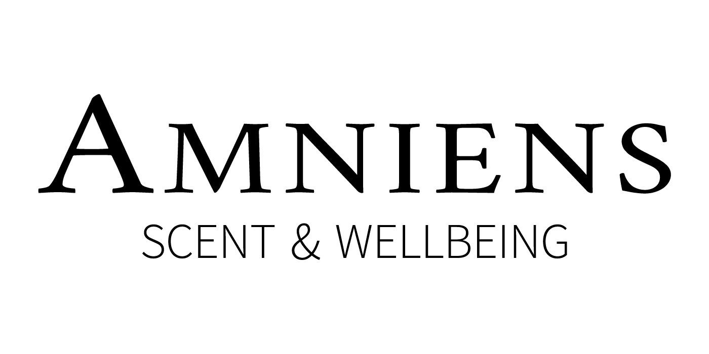 Logo de Amniens