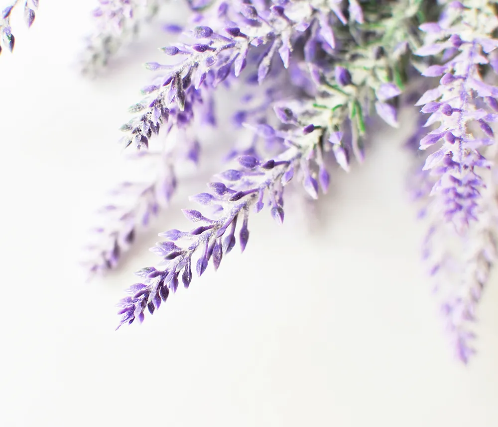 Imagen de Creations Aromatiques