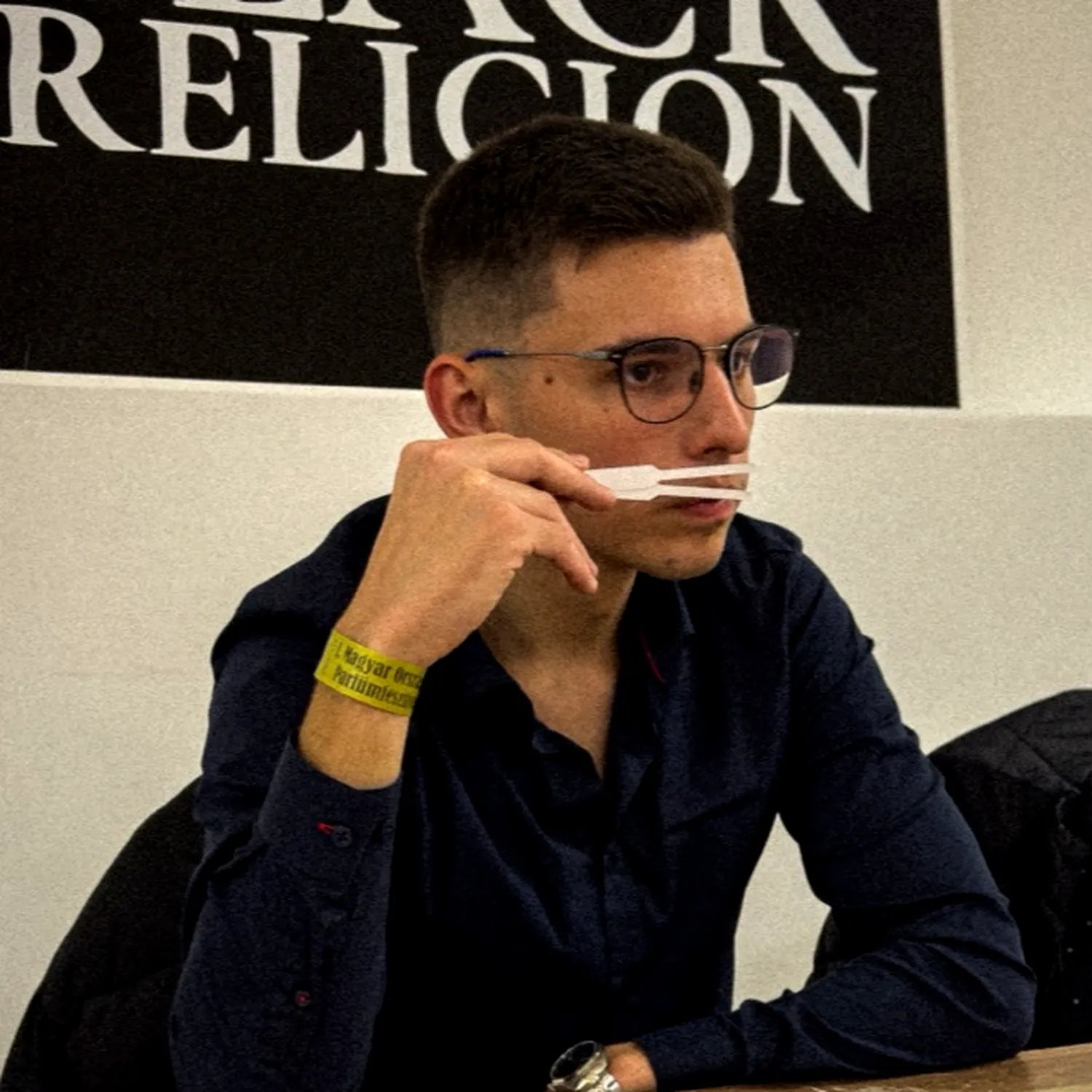 Imagen de Máté Benicsák