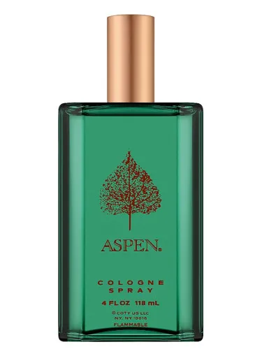 Perfume Aspen For Men de Coty