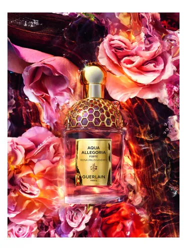 Perfume Aqua Allegoria Forte Rosa Palissandro de Guerlain