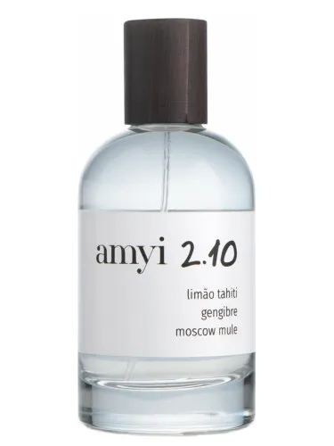 Imagen de Amyi 2.10