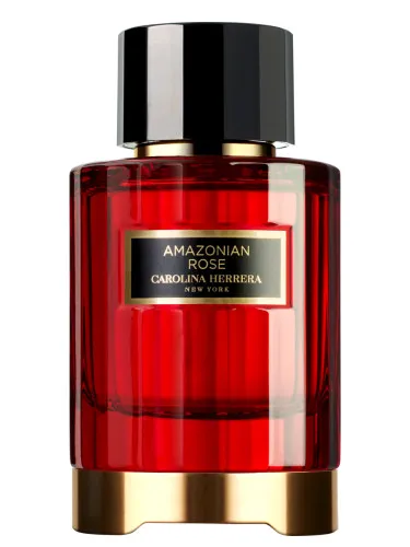 Imagen de Amazonian Rose