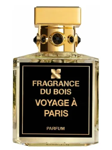 Imagen de Voyage à Paris