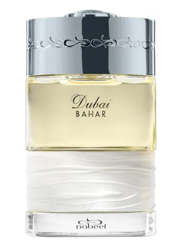 Imagen de Bahar