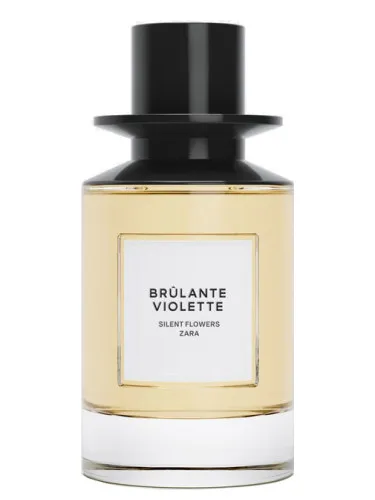 Imagen de Brulante Violette