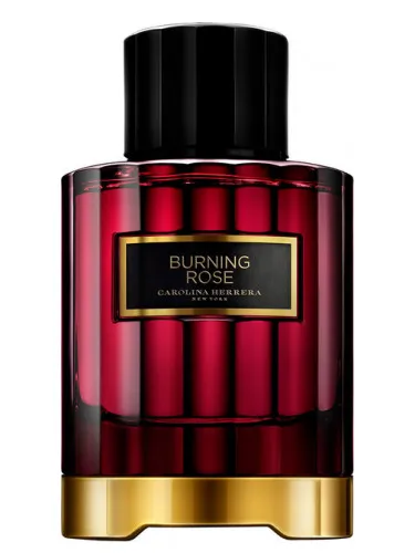 Imagen de Burning Rose