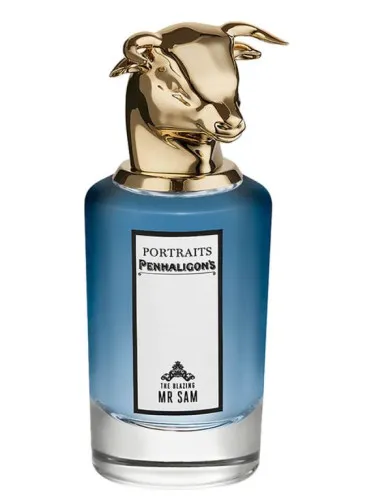 Imagen de The Blazing Mr Sam
