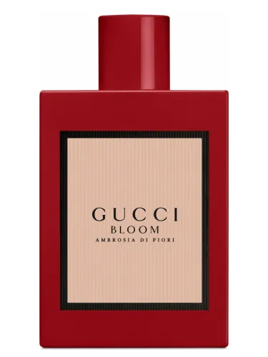 Perfume Gucci Bloom Ambrosia di Fiori de Gucci