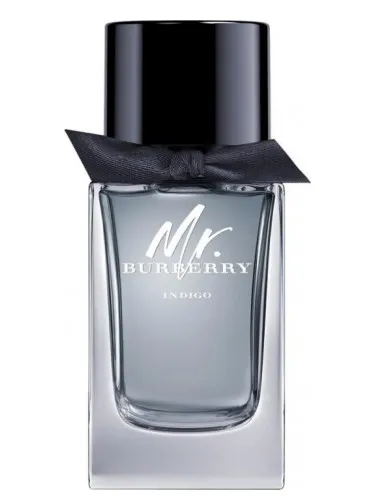 Imagen de Mr. Burberry Indigo