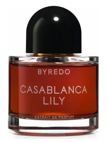 Imagen de Casablanca Lily 2019