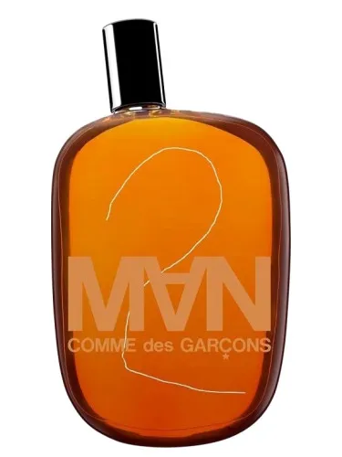 Imagen de Comme des Garcons 2 Man